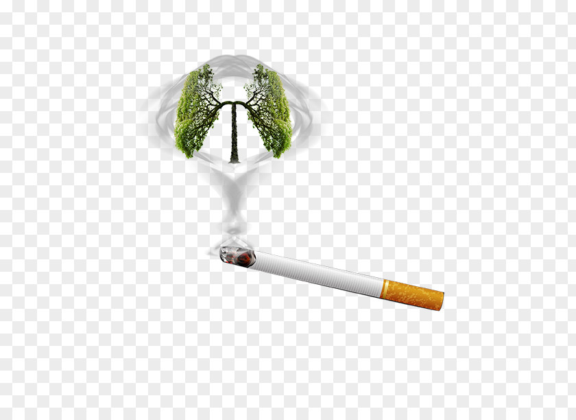 Quit Smoking Poster Cessation Ban Cigarette PNG