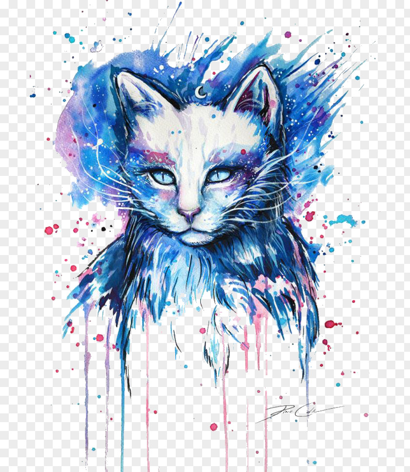 Cat Why Paint Cats Drawing Painting Art PNG
