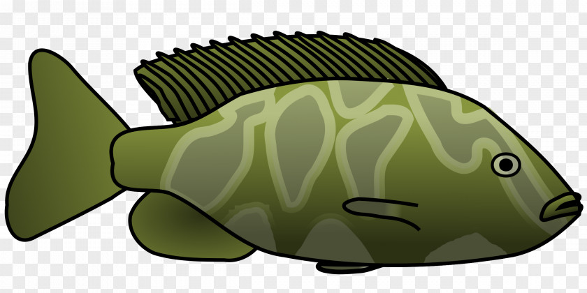 Fish Tail YouTube Clip Art PNG