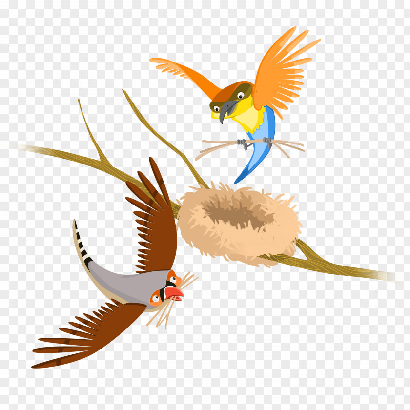 Flock Bird IPad 4 1 Feather PNG