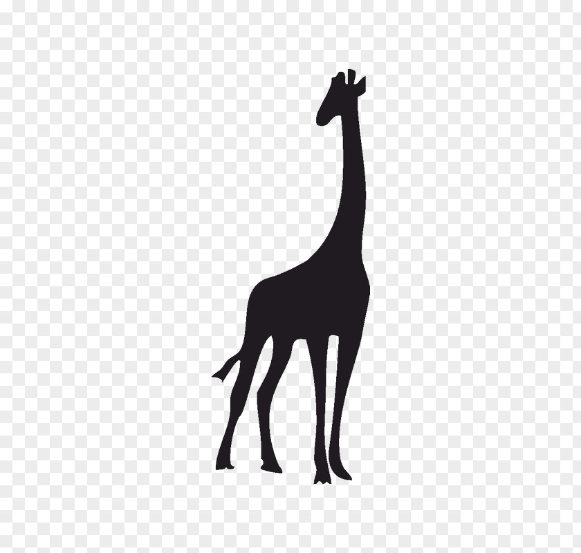 Giraffe Wall Decal Silhouette PNG