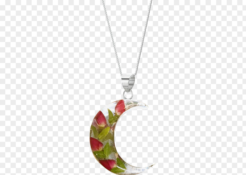 Jewellery Locket Necklace Silver Charms & Pendants PNG