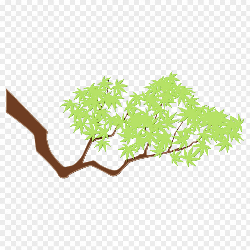 Plant Stem Twig Branch Green Leaf Tree PNG