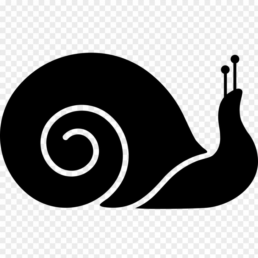 Snails Snail Clip Art PNG