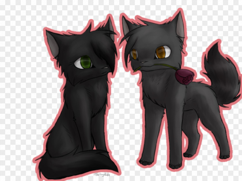 Caramel Balayage Kitten Cat The Fourth Apprentice Hollyleaf Warriors PNG