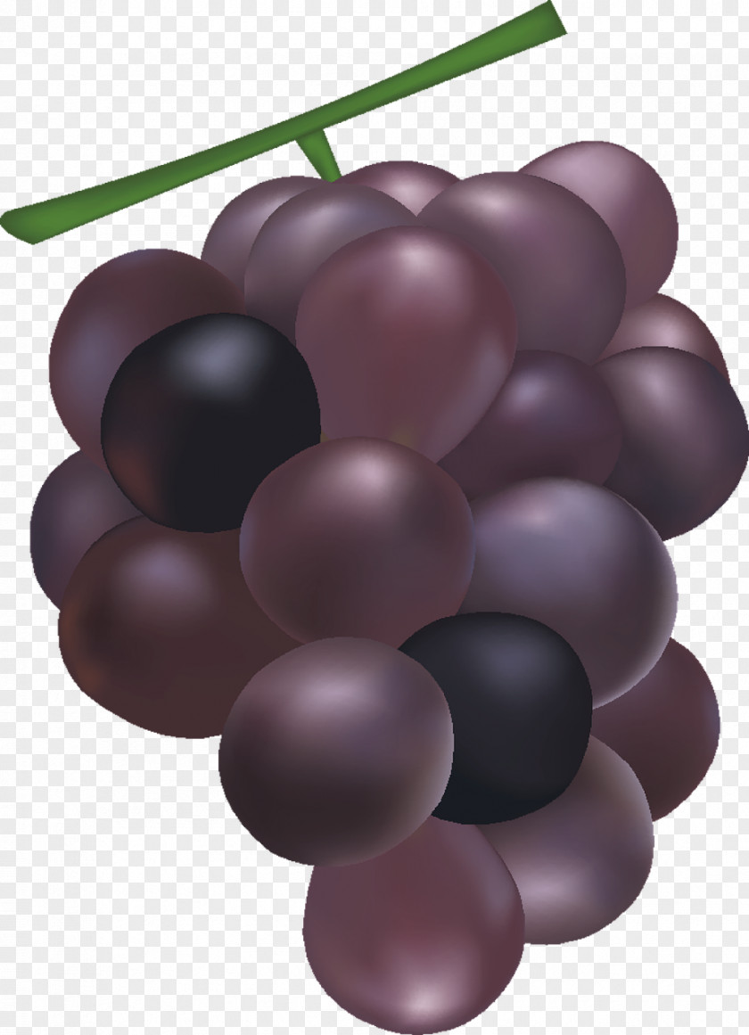 Grape Common Vine Wine Seed Extract Food PNG