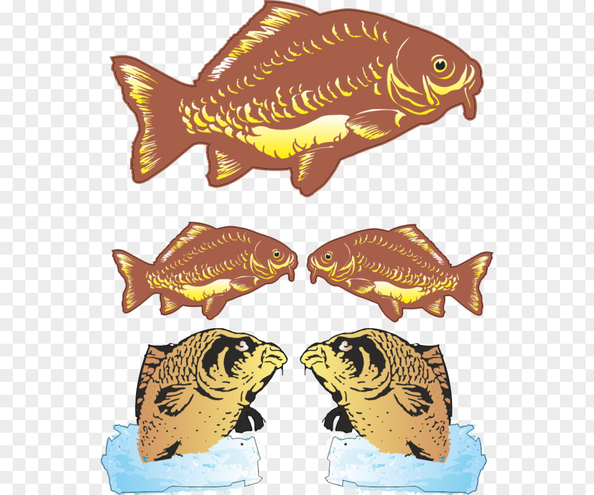 Fish Sticker Fishing Carp Brand PNG