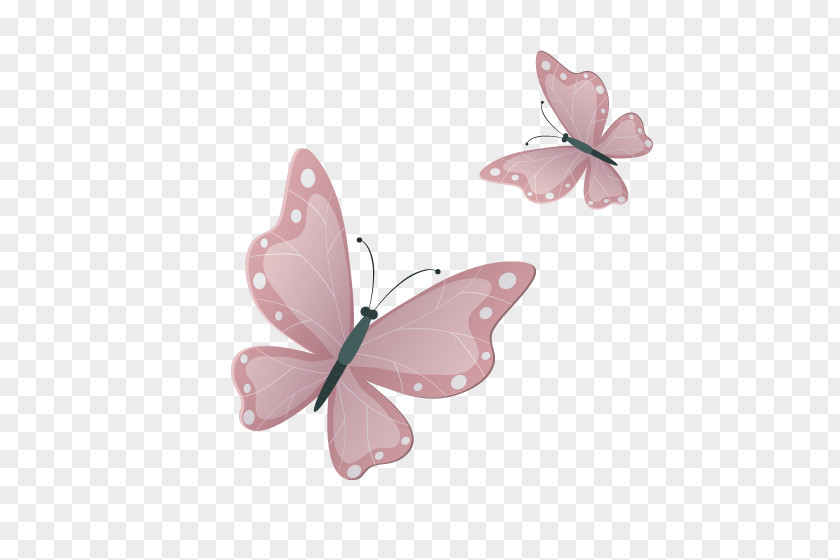 Pink Butterfly Google Images Download PNG