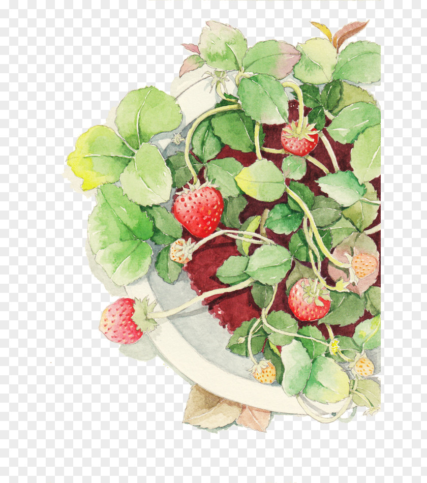 Pot Of Strawberry Watercolor Painting Techniques Aedmaasikas PNG