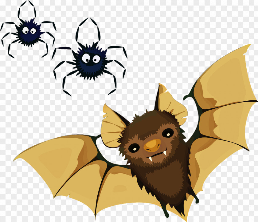 Bat Vampire Spider Clip Art PNG