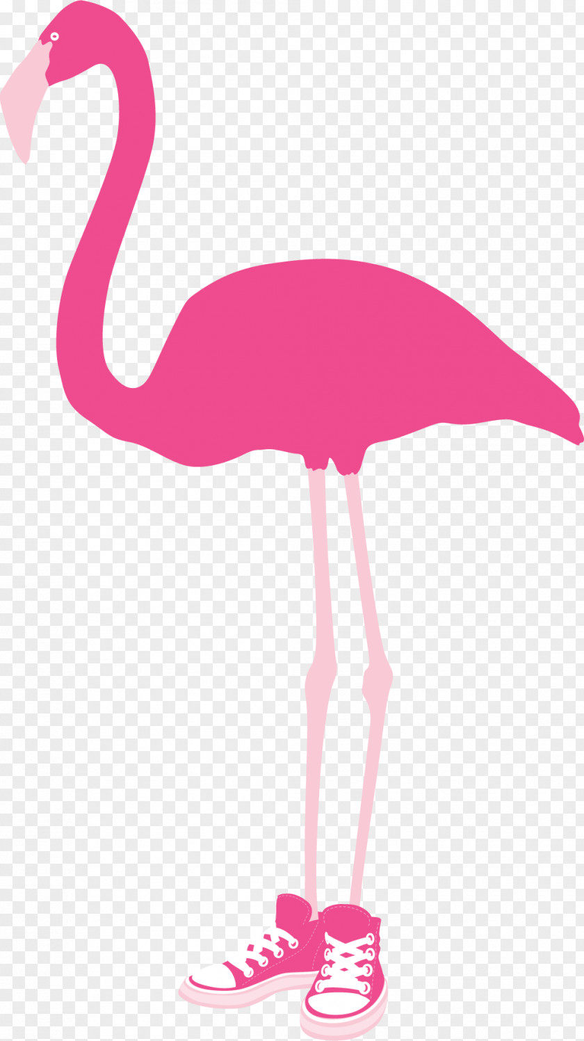 Flamingo Apopka Mount Dora Florida Hospital Waterman Tavares PNG