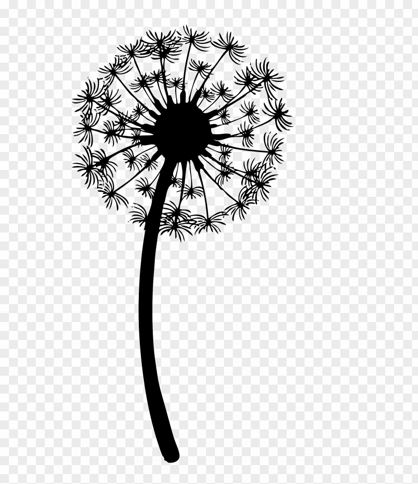 Leon Drawing Clip Art Image Vector Graphics The Dandelion PNG