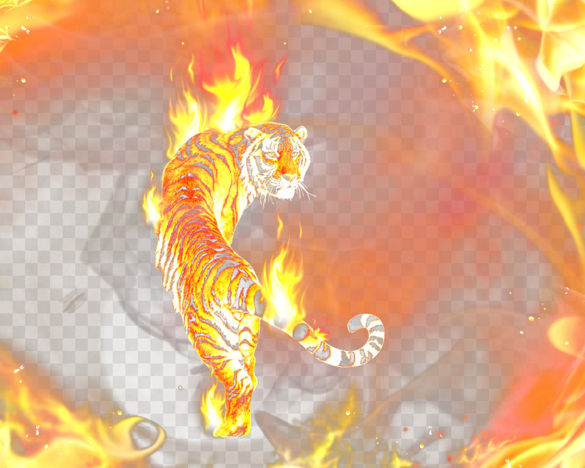 Tiger Round Fire Desktop Metaphor Wallpaper PNG