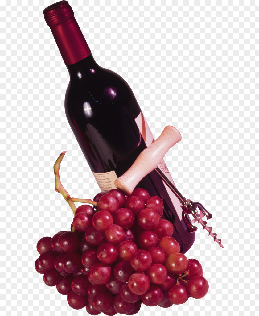 Wine Glass Photography Clip Art PNG