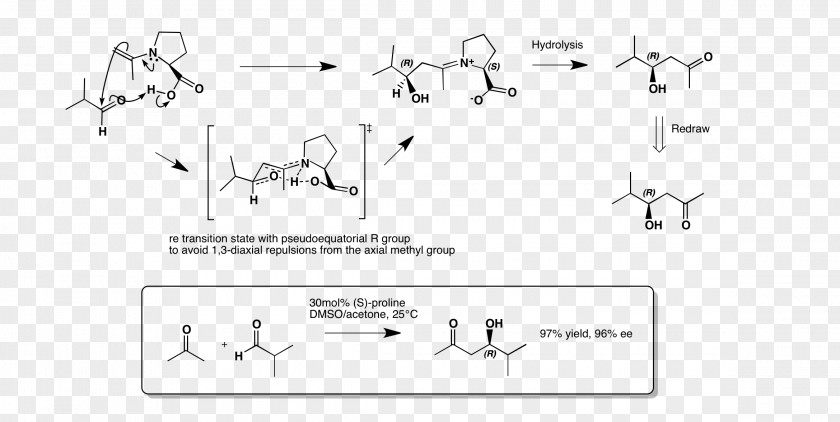 Aldol Condensation Reaction Proline Oxaloacetic Acid PNG