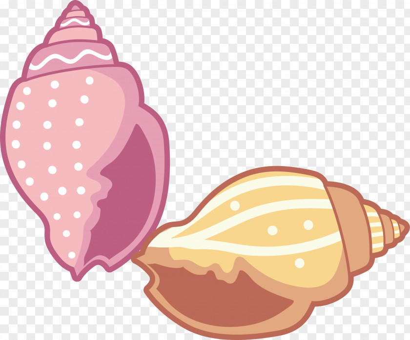 Cartoon Color Conch Clip Art PNG