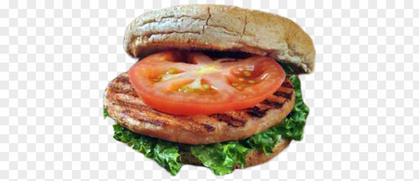 Cheese Sandwich Hamburger Veggie Burger Fast Food Breakfast Cheeseburger PNG