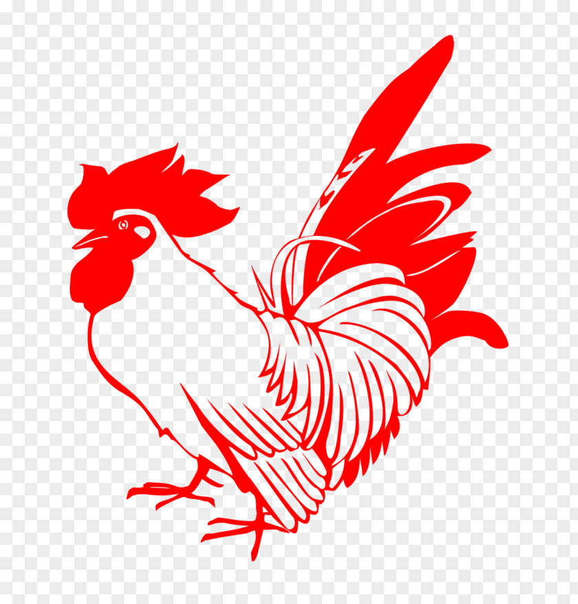 Chicken Broiler Rooster Stock.xchng Image PNG