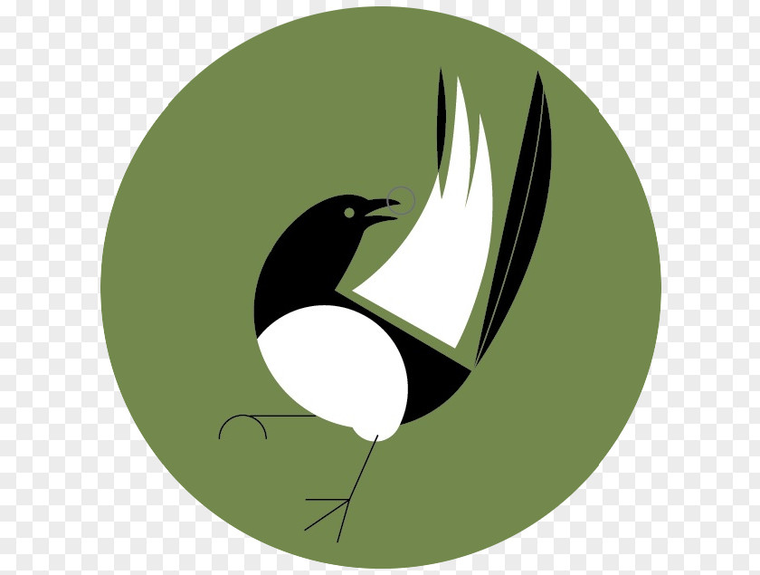 Design Eurasian Magpie PNG