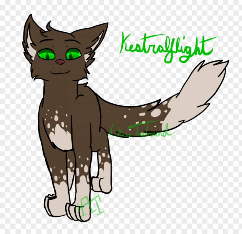 Kitten Whiskers Cat Warriors Kestrelflight PNG