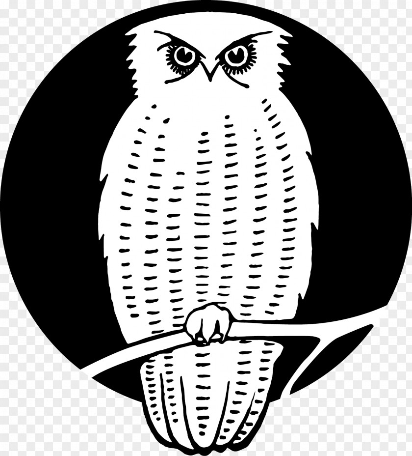 Owl Moon Beak Bird Of Prey Clip Art PNG