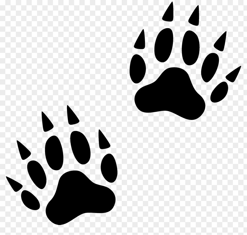 Tiger Paw Wolverine Cat Footprint Animal Track PNG