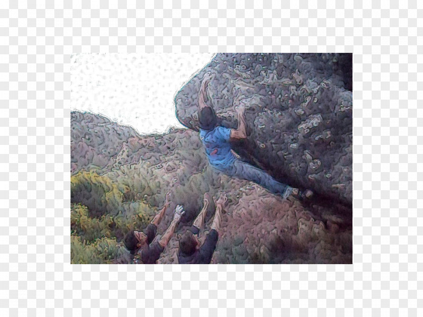 Tree Bouldering Rock-climbing Equipment Outcrop PNG