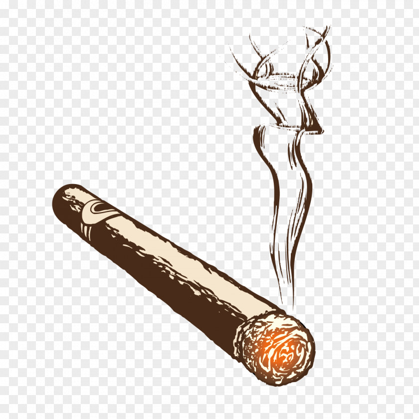 Cigarette Smoke PNG Smoke, Burning Cigar Handmade Illustration, cigar illustration clipart PNG