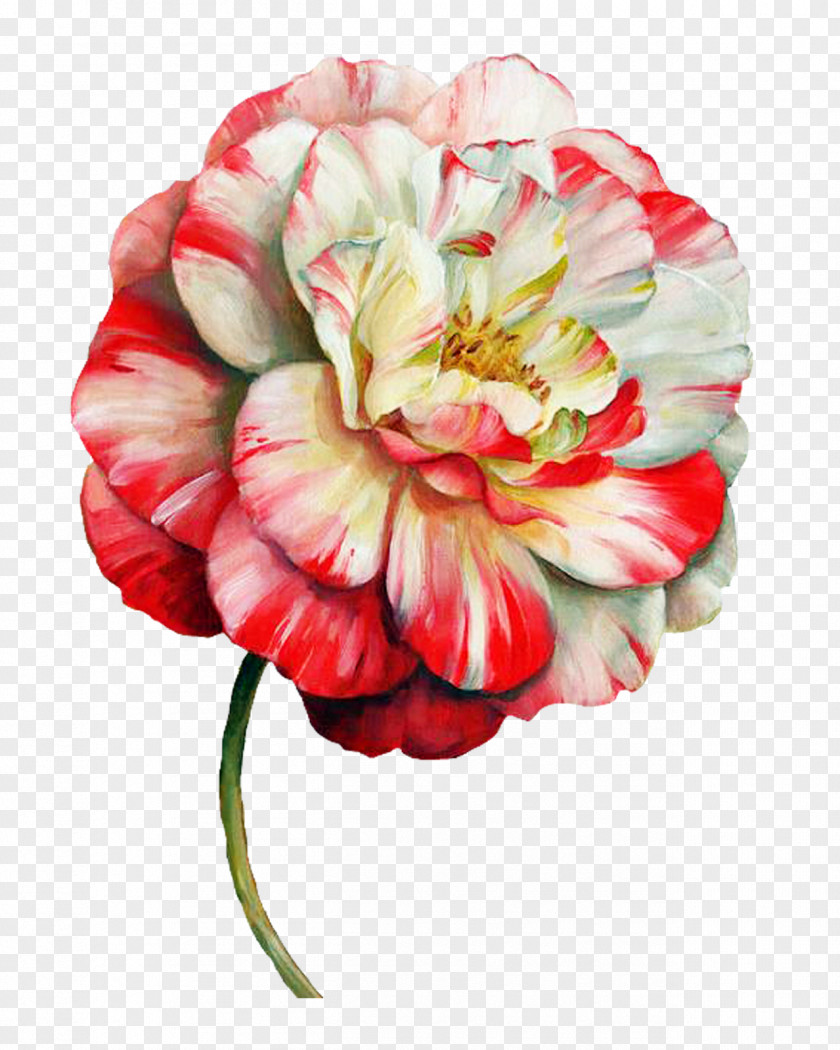 Flower Paint Paper Painting Floral Design Drawing PNG