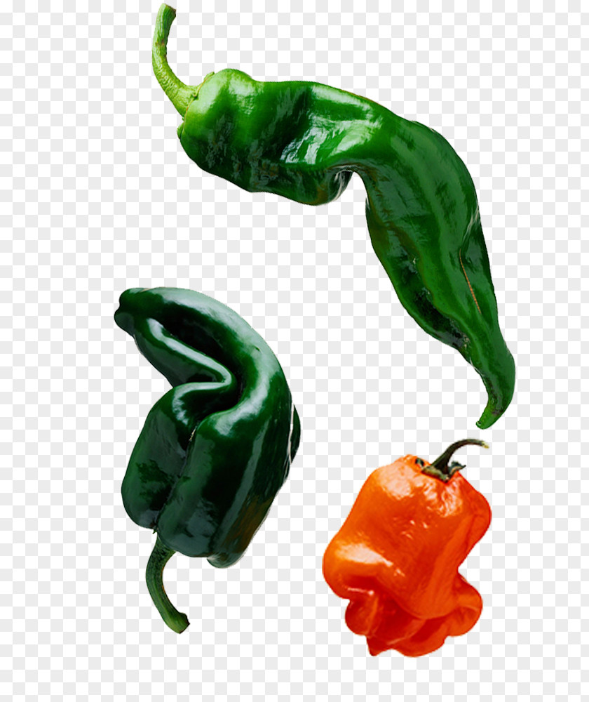 Green Chili Pepper Sichuan Bell Capsaicin Pimiento PNG