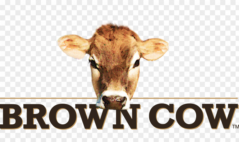 Milk Cream Brown Cow Yoghurt Organic Food PNG