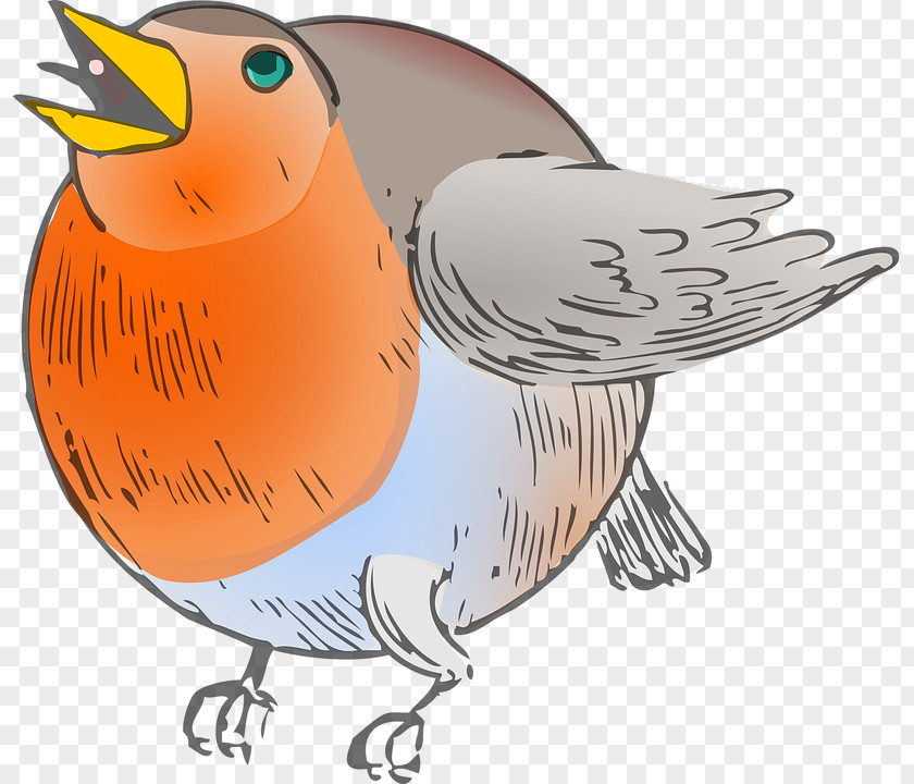 Robin Bird Cartoon European Round-robin Scheduling DNS Clip Art PNG