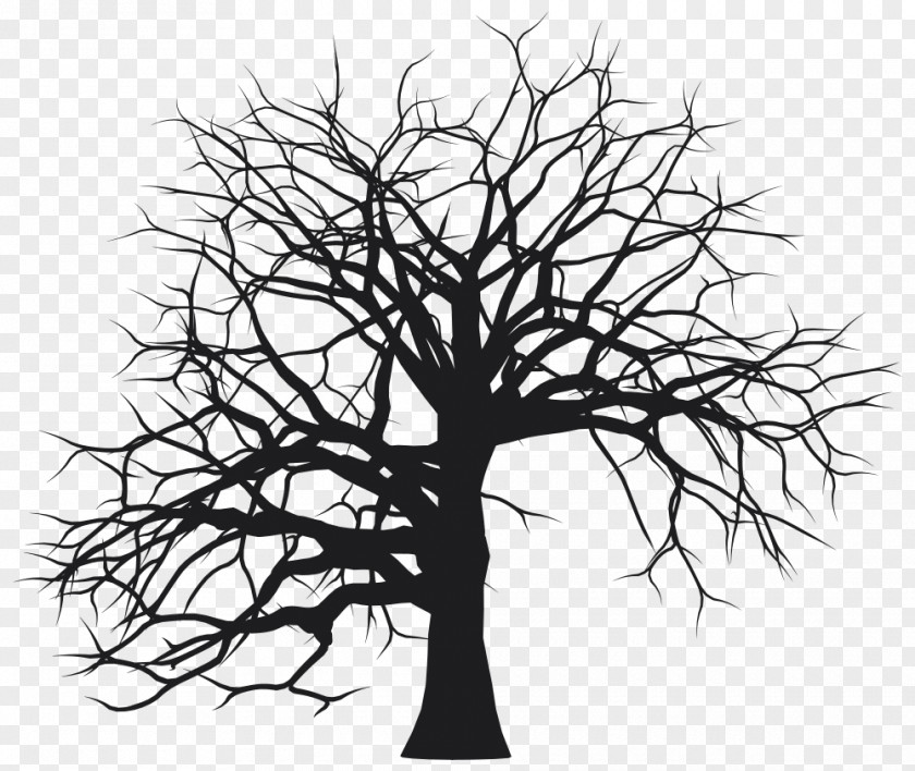 Silhouette Tree Branch PNG