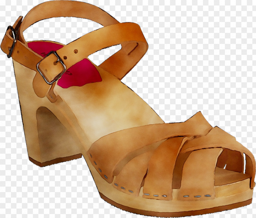 Slide Sandal Shoe PNG
