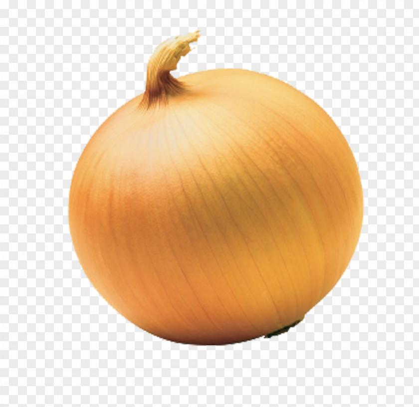 Yellow Onion Material Free To Pull Tree Shallot French Soup Red PNG