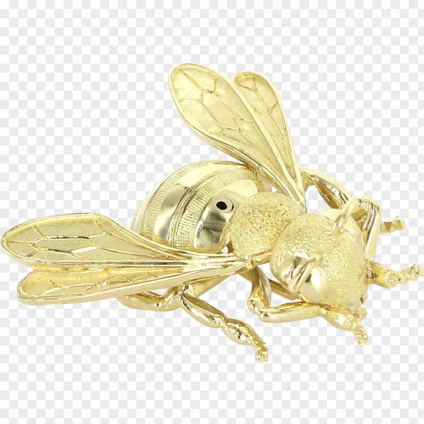 Butterfly Gold Brooch Body Jewellery PNG