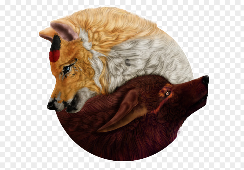 Dog Red Fox Fur Snout PNG