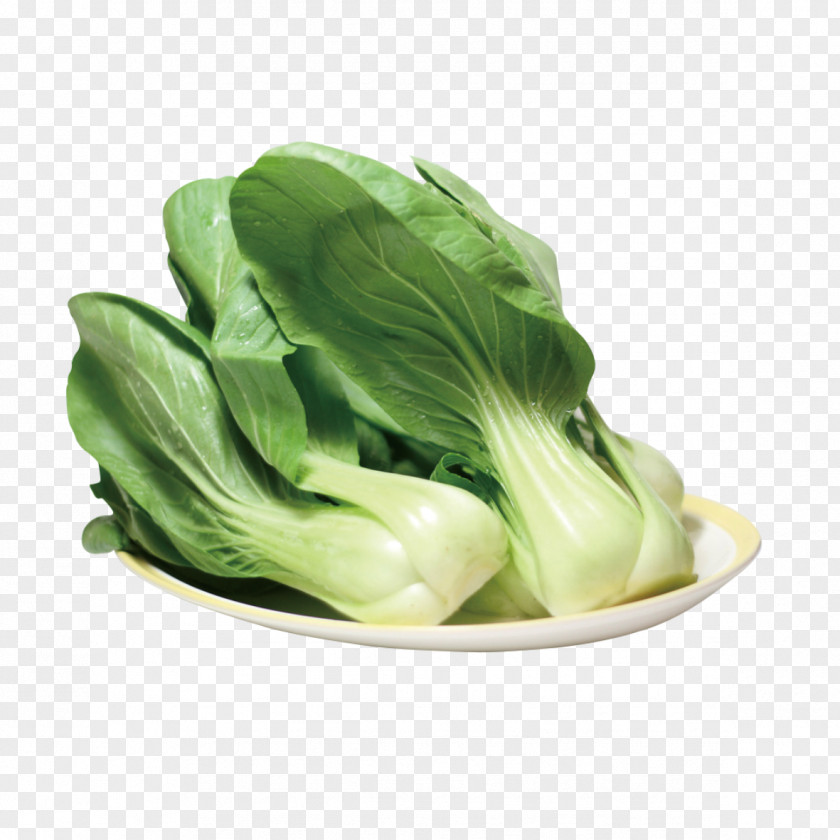 Fresh Cabbage Bok Choy Napa Vegetable Rapeseed Chinese PNG