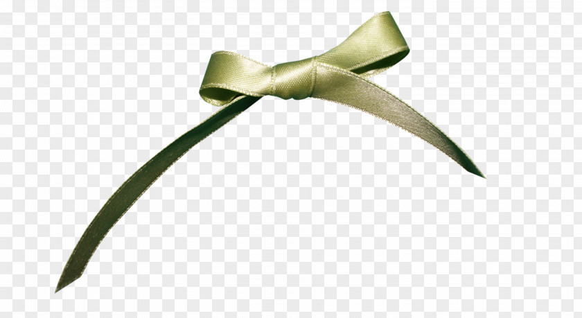 Green Bow Ribbon Gift Shoelace Knot PNG