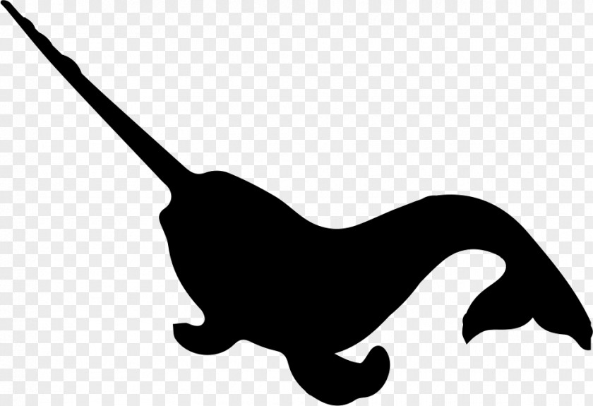 Narwhal Clip Art PNG