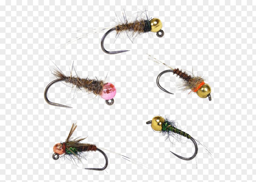 Nymph Artificial Fly Fishing Trout Bum PNG