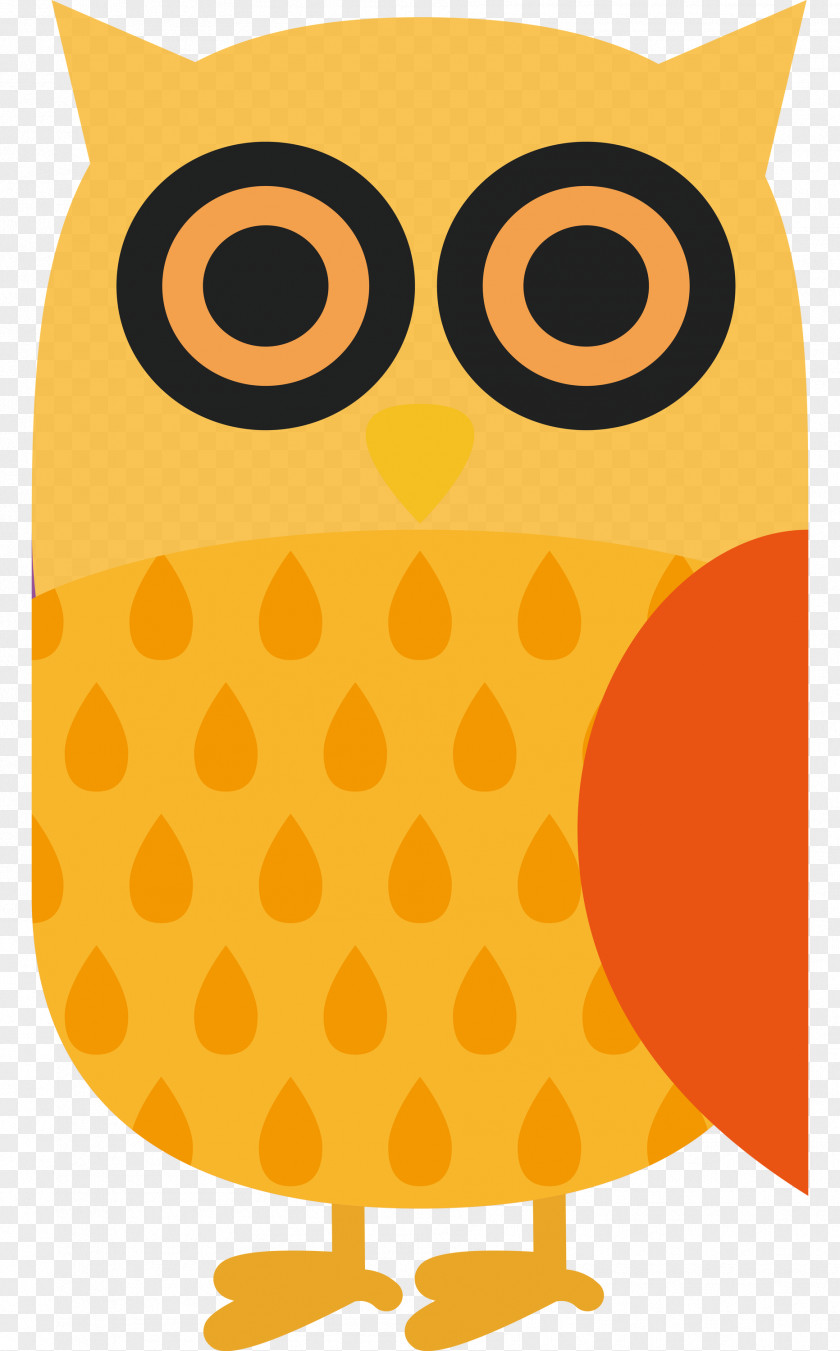 Owl M Yellow Meter Beak Pattern PNG