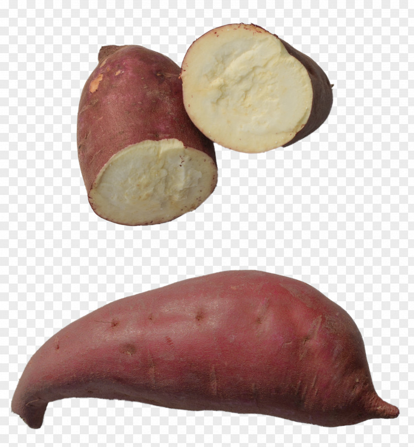Yam Root Vegetables Sweet Potato Food PNG