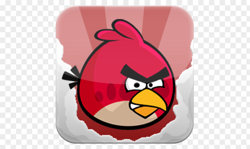 Bird Angry Birds Seasons Star Wars Northern Cardinal PNG