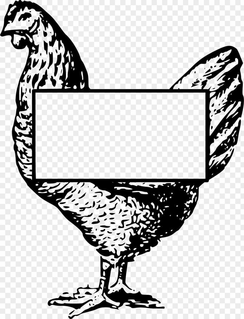 Chick Wyandotte Chicken Sesame Rooster Line Art Clip PNG