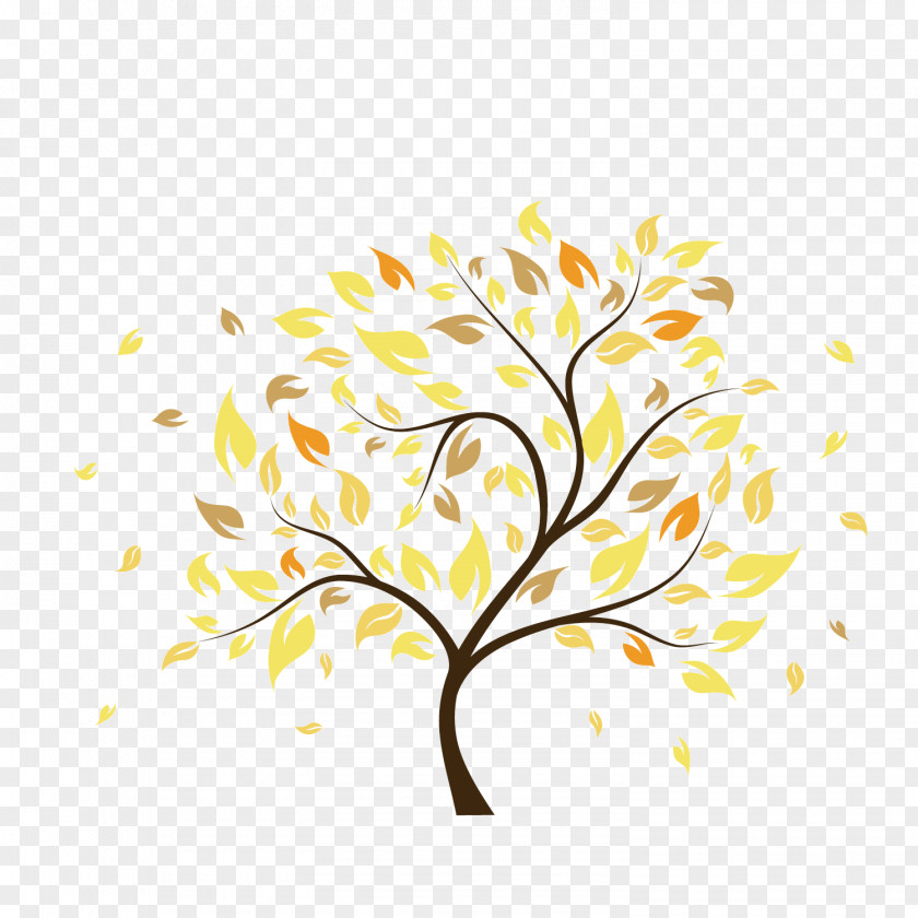 Colored Leaves PNG