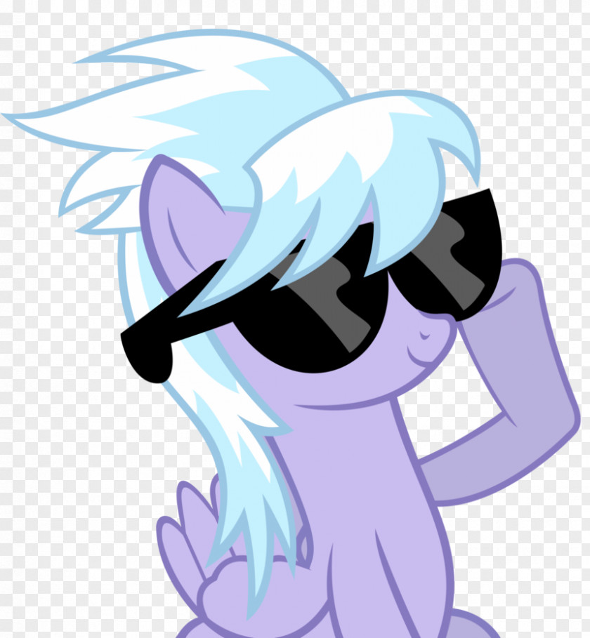 Deal With It Twilight Sparkle Pinkie Pie Rainbow Dash Pony Cloudchaser PNG