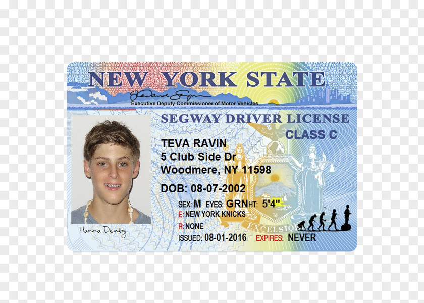 Driving New York City Commercial Driver's License Identity Document PNG