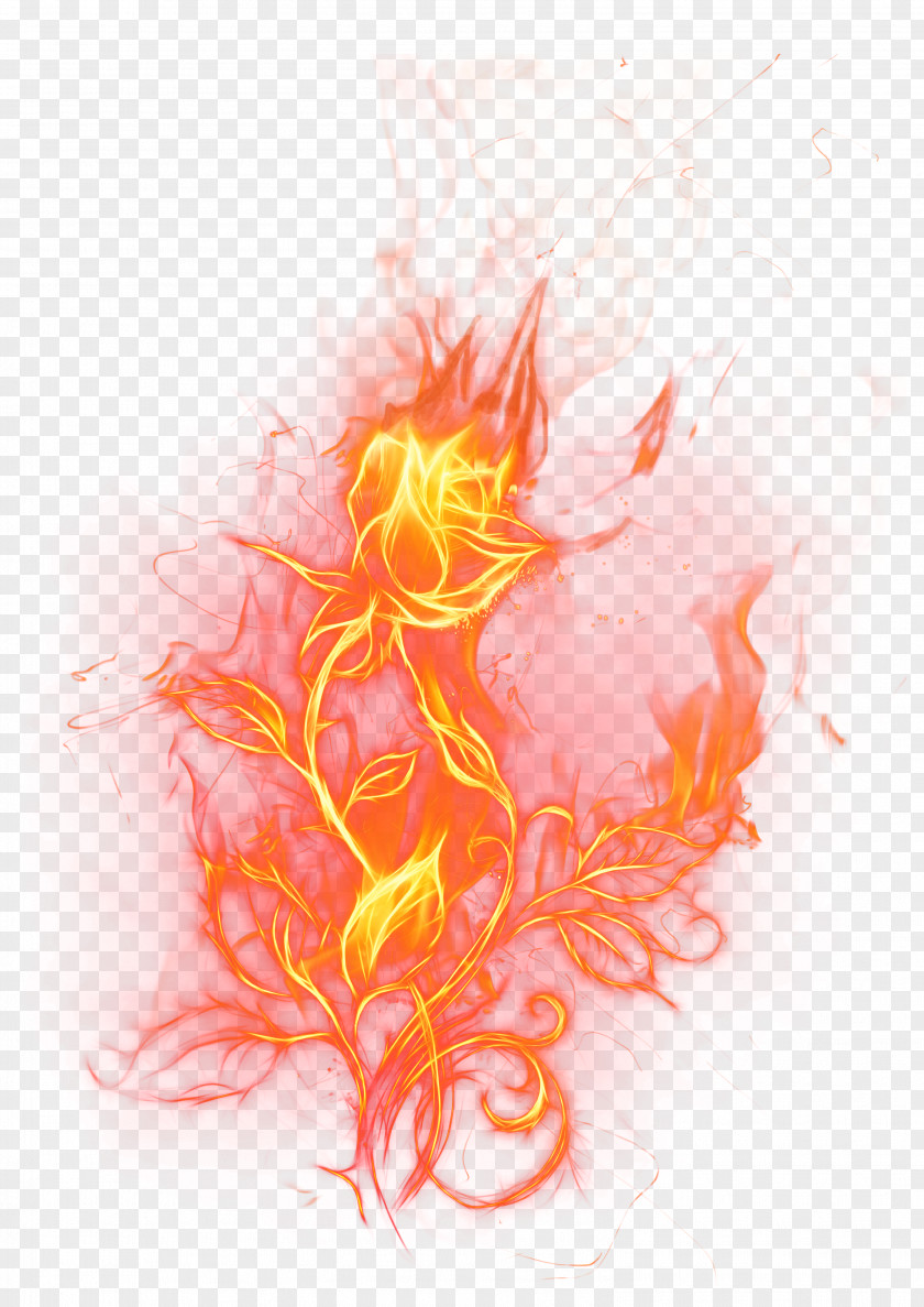 Fire Light Rose Clip Art PNG