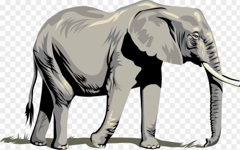 Free Elephant Pictures African Clip Art PNG